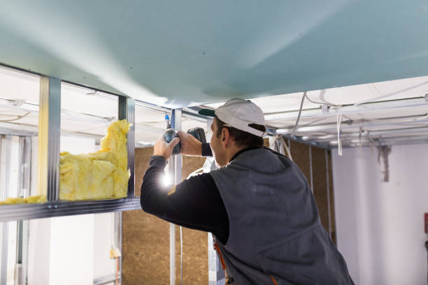Best Types of Insulation in Sea Ranch, CA