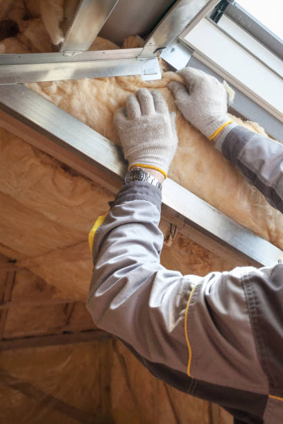 Best Insulation Maintenance and Repair in Sea Ranch, CA