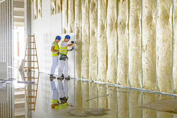 Best Insulation Maintenance and Repair in Sea Ranch, CA